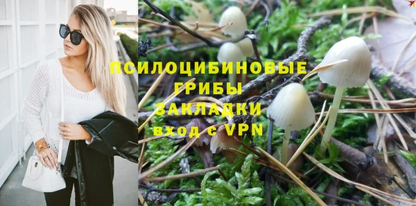 ПСИЛОЦИБИНОВЫЕ ГРИБЫ Арсеньев