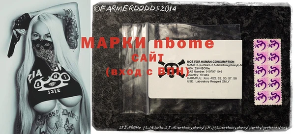 ПСИЛОЦИБИНОВЫЕ ГРИБЫ Арсеньев