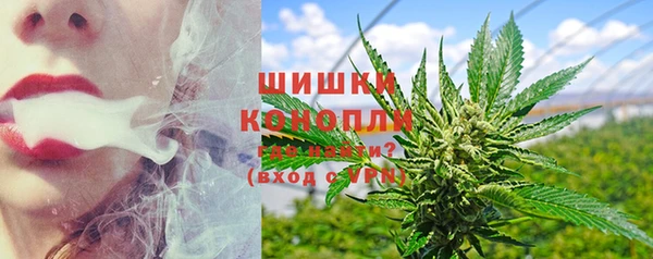 ПСИЛОЦИБИНОВЫЕ ГРИБЫ Арсеньев