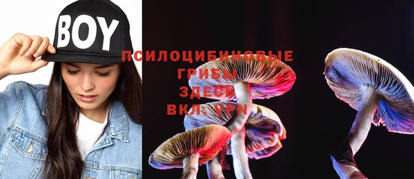 синтетический гашиш Армянск
